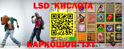 гидра Малгобек