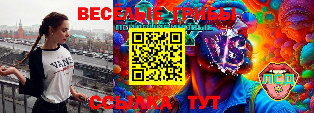 Псилоцибиновые грибы Psilocybine cubensis  Вход с VPN  Псилоцибиновые грибы MAGIC MUSHROOMS  Дзержинский 
